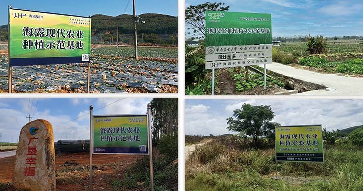 赏金船主·PG(中国游)官方网站