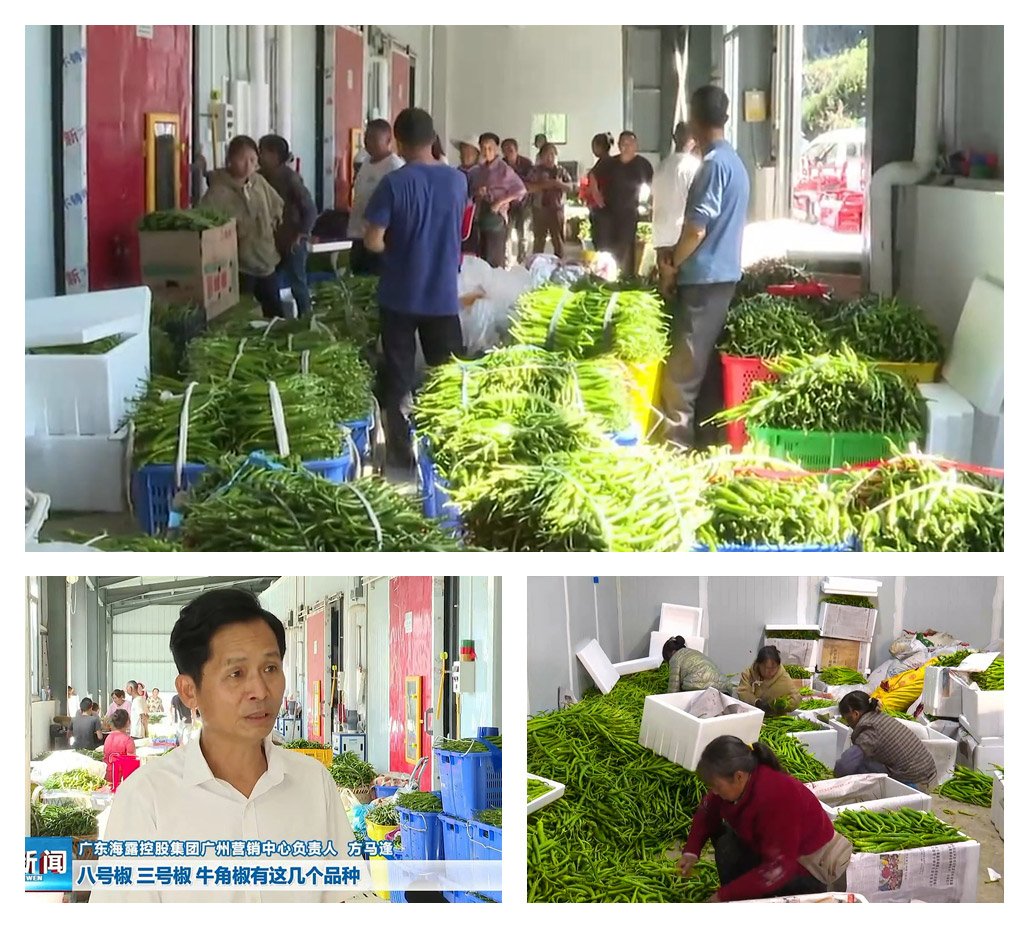 赏金船主·PG(中国游)官方网站