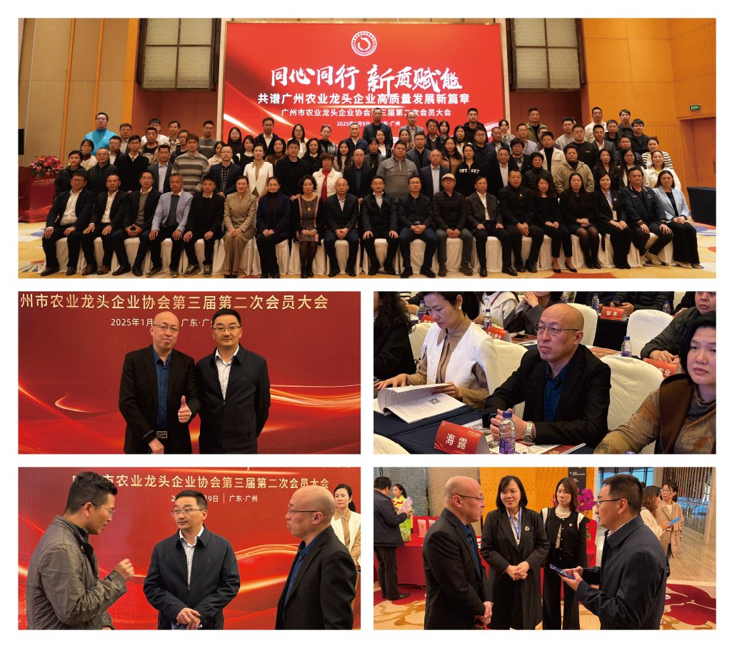 赏金船主·PG(中国游)官方网站