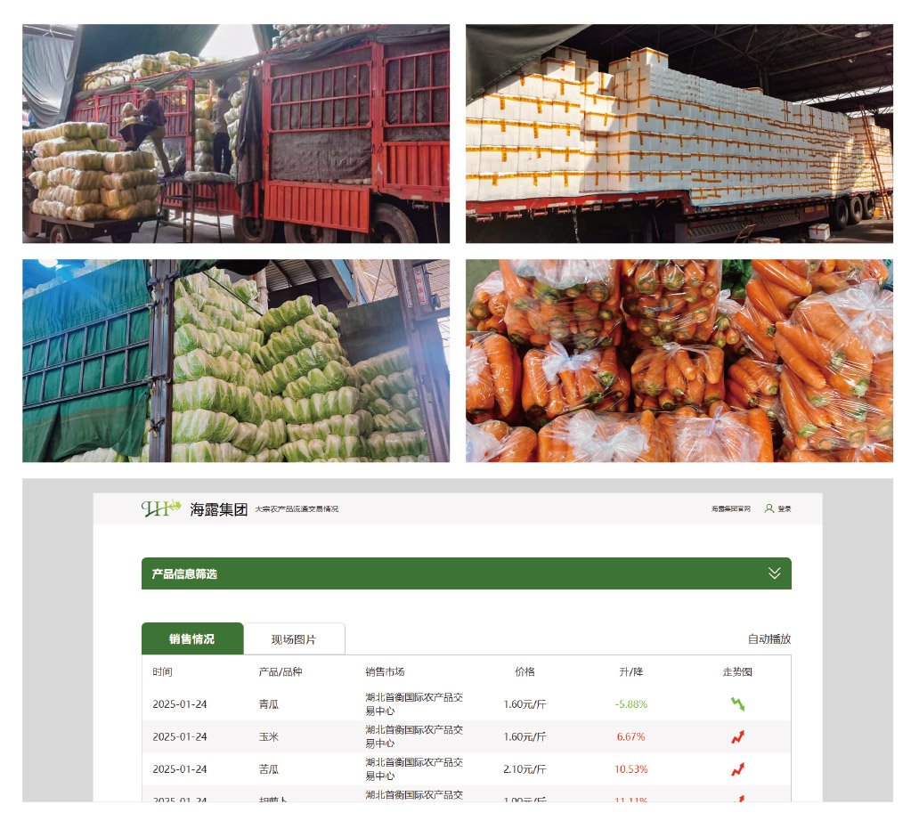 赏金船主·PG(中国游)官方网站