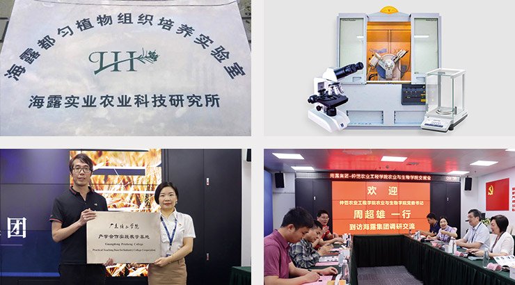 赏金船主·PG(中国游)官方网站