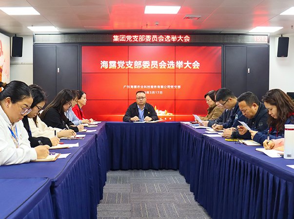 集团实现新成立党支部支委会选举工作