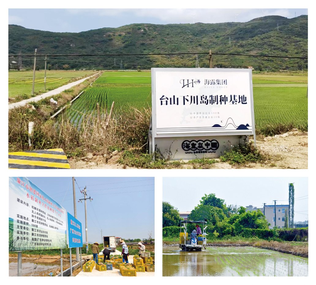 赏金船主·PG(中国游)官方网站