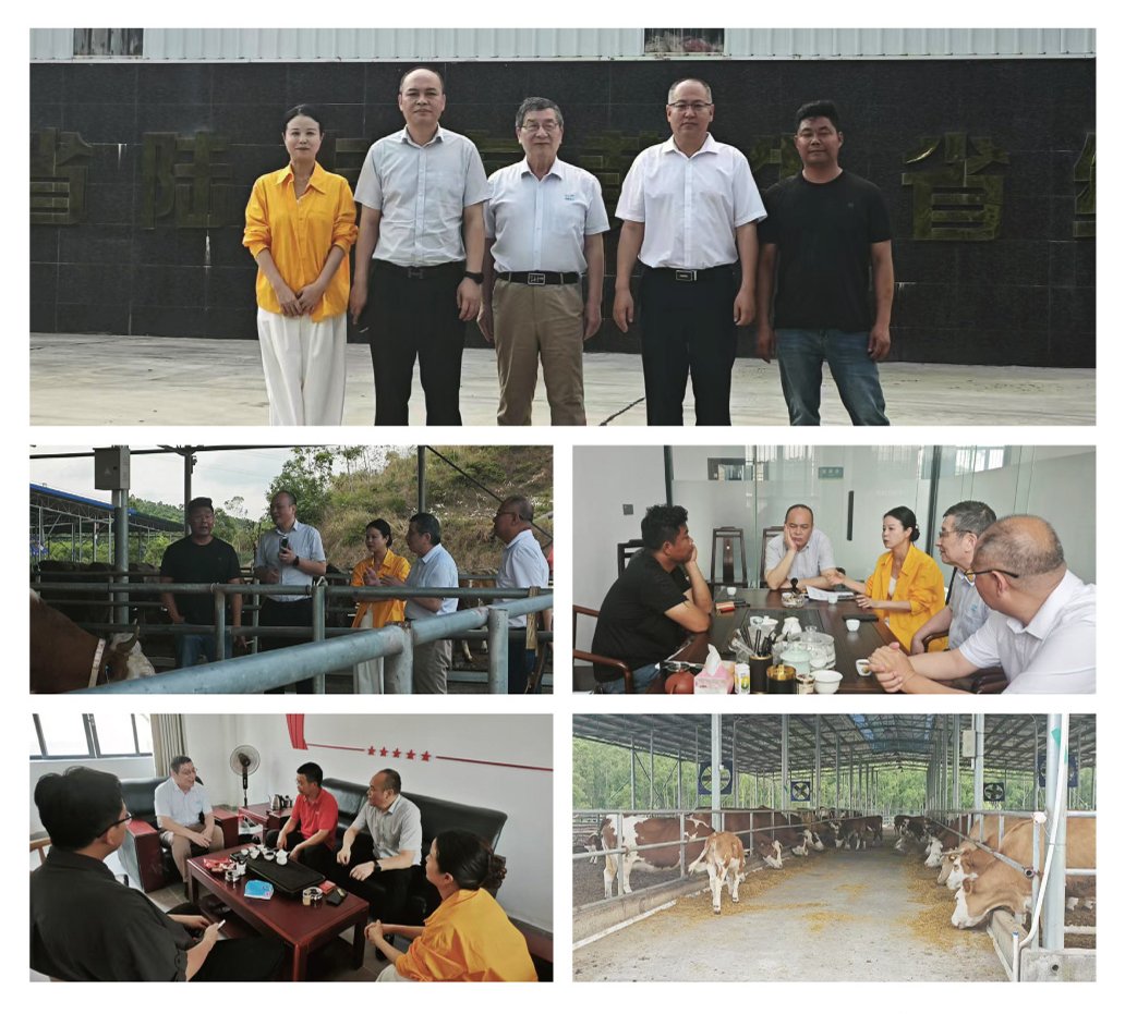 赏金船主·PG(中国游)官方网站