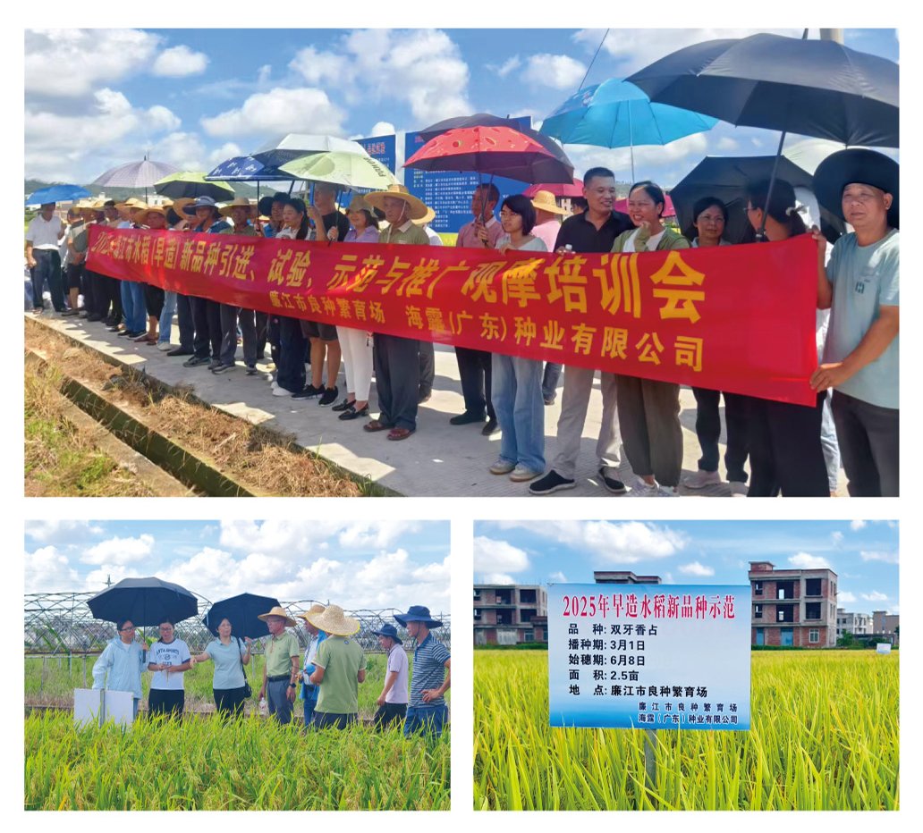 赏金船主·PG(中国游)官方网站