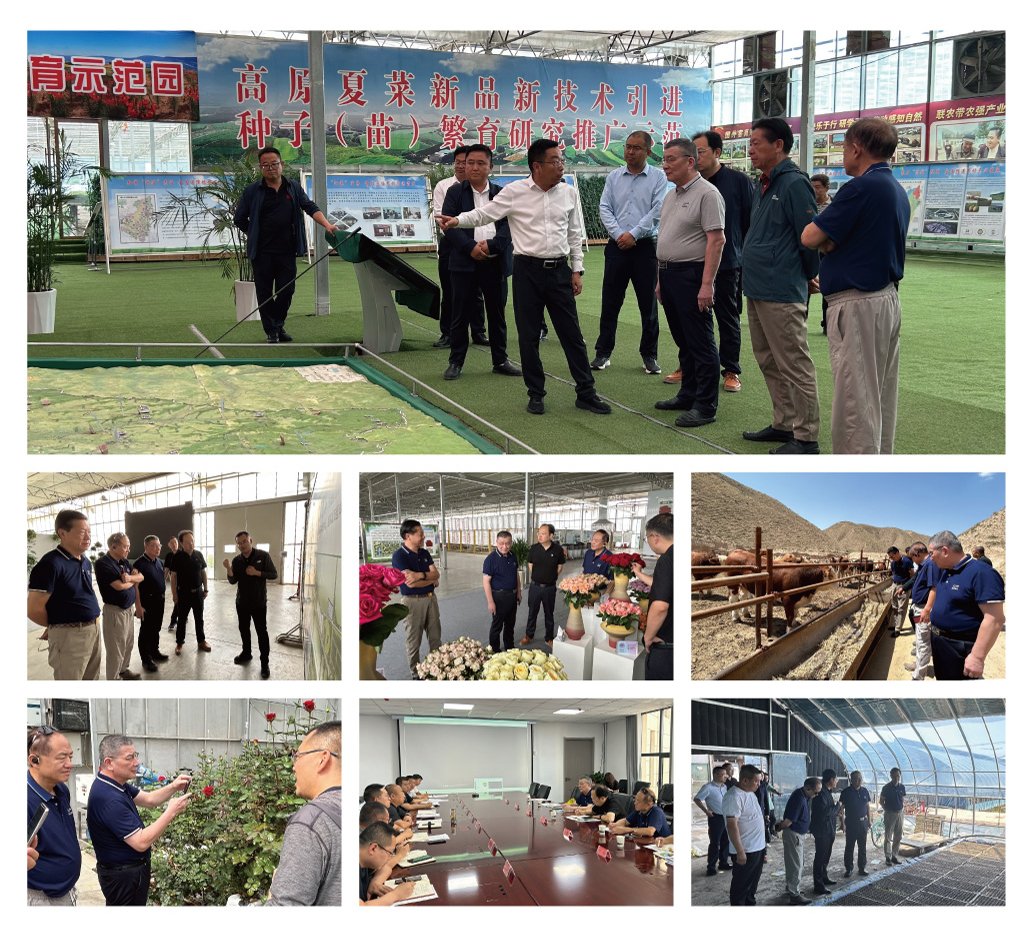 赏金船主·PG(中国游)官方网站