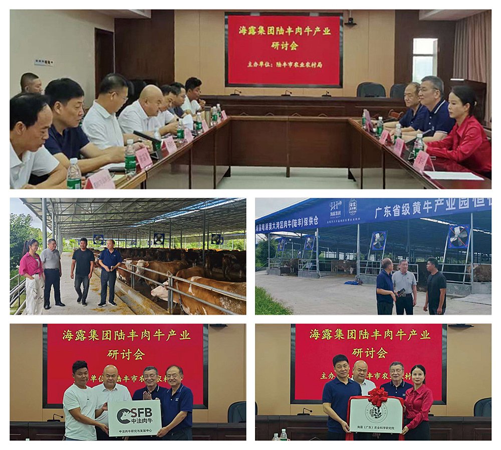 赏金船主·PG(中国游)官方网站