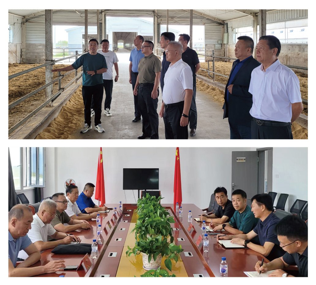 赏金船主·PG(中国游)官方网站