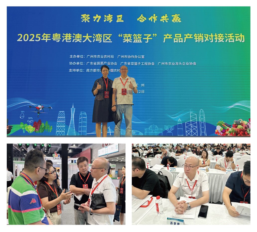 赏金船主·PG(中国游)官方网站