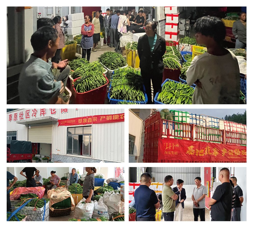 赏金船主·PG(中国游)官方网站