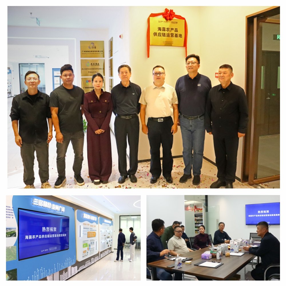 赏金船主·PG(中国游)官方网站