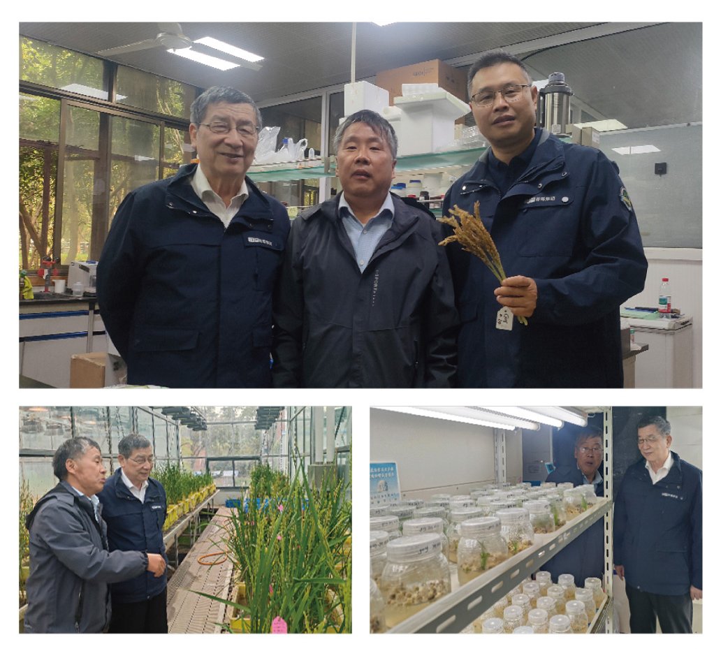 赏金船主·PG(中国游)官方网站