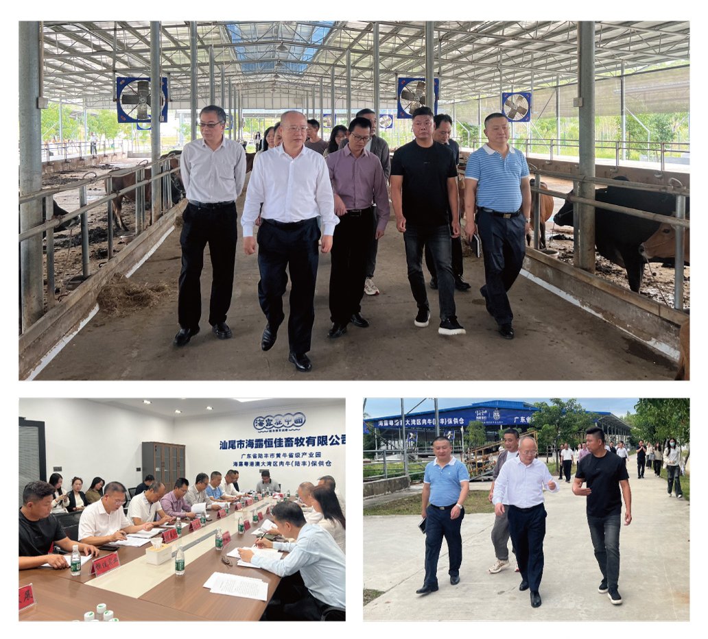 赏金船主·PG(中国游)官方网站