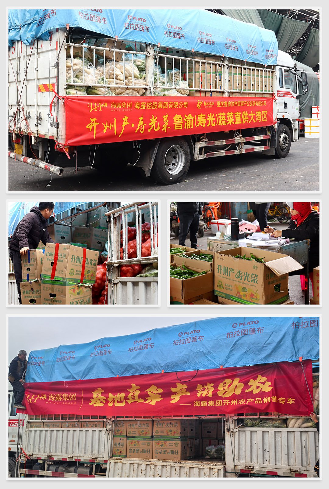 赏金船主·PG(中国游)官方网站